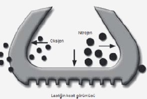 filler image